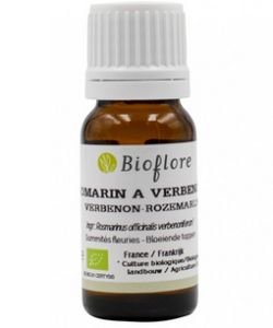 Romarin à verbénone (Rosmarinus officinalis verbenoniferum)